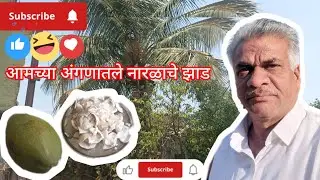 आमच्या घराच्या अंगणातील नारळाचे झाड #bestshorts videos #viral videos #popular videos