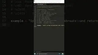 python str method 