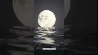 ভালোবাসা মরে যাক