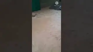 сели калон дар н Ёвон