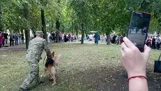 Выступление кинологов на дне города Коссово (14 сентября 2024 г.)