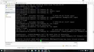 Hadoop DFS Command Line (mkdir, rm, copyFromLocal, copyToLocal)
