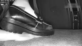 Woman in Leather Shoes Unaware Hand Trample at Cinema