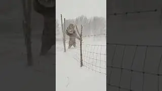 FRIO GRANDE AQUI NA SIBÉRIA #shorts