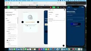 Flutter Sign in Form UI Designing