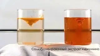 Куркумин