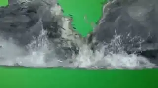 Flooding Effect Green Screen