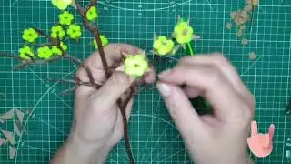 быстрые коробочки хлопка, вставка в букеты