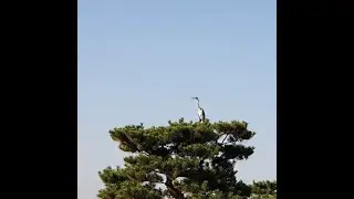 FPV 프리스타일 연습 : 999