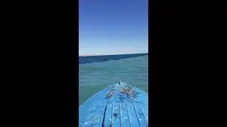 Арал теңізіндегі тосын жай