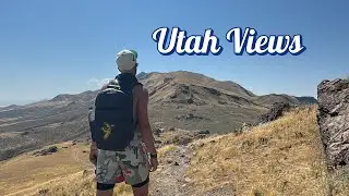 Finding Bison In Utah State Park