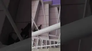 Диверсант хитропопая