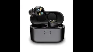 BackBeat PRO 5100 True Wireless Bluetooth Earbuds