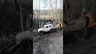 ЧПТРНО2019