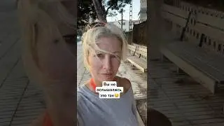 Как выбросить мусор ?#shortvideo #shorts #short