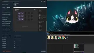 Mochi the Cat - How to Set Up - Walkthrough Tutorial