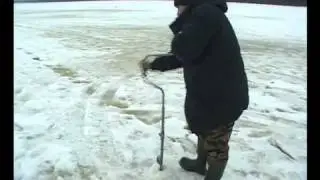 Ловля плотвы зимой на безмотылку