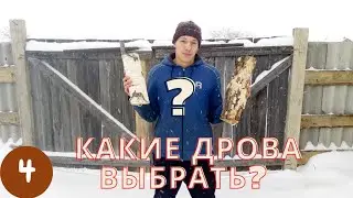 WHICH FIREWOOD TO CHOOSE | Oak, Birch, Alder, Aspen or Pine