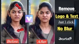 How to Remove Watermark from video | remove logo & watermark in video