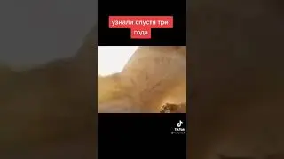 Человек воспитывал Львов с детства и спустя у года они узнали его