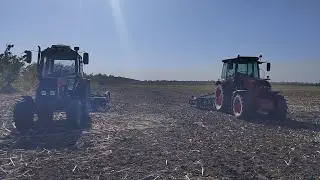 Дискуем палку подсолнечника.