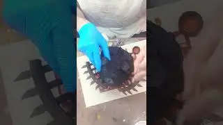 spiderman' s enemy