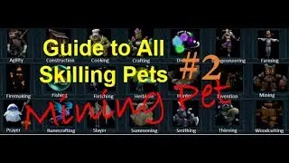Guide to All Skilling Pets #2 | Mining Pet - Rocky | Runescape3