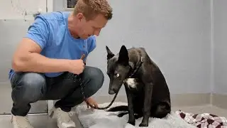 Watch her reaction when I tell her It Wasn’t Her Fault