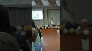 28 апреля 2024 г.