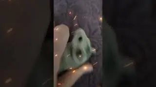 Это мой новый хомяк Элби♡ #рекомендации #тренд #смех #funny #hamsters