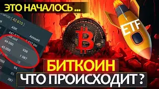 БИТКОИН - почему упал? Где откупать? ETF - был ловушкой? Какие альты покупать и ждать праздника?