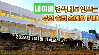 아직 제대로 검색도 되지 않는 12월 오픈한 초신상카페#부산신상카페#부산신상대형카페#부산베이커리