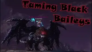 How to Tame Black Baileys