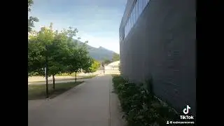 Running every day