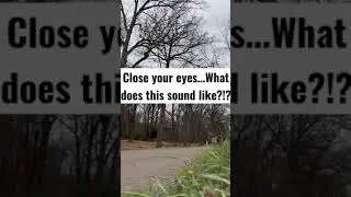 What does this sound like?!?