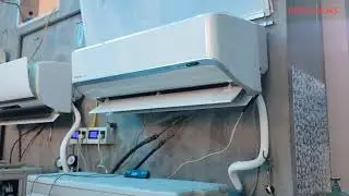 PANASONIC NIỀM TỰ HÀO XỨ SỞ HOA ANH ĐÀO