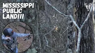 MISSISSIPPI public land GIANT!| One of the BEST public land hunts of my life!