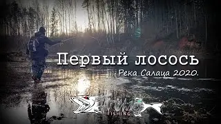 Мой первый лосось!!! Река Салаца.2020