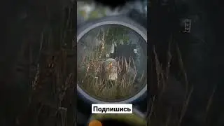 Кеди продолжение робота длилось не долго