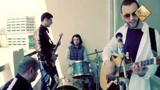 The Orchid - Aivani