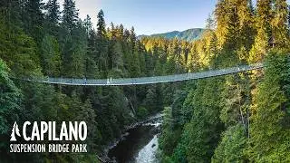 Experience Capilano Suspension Bridge Park
