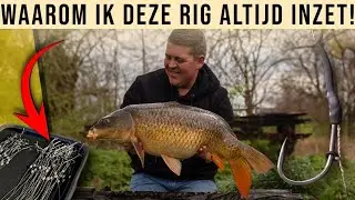 DIT IS WAAROM IK DEZE RIG AL JAREN GEBRUIK!