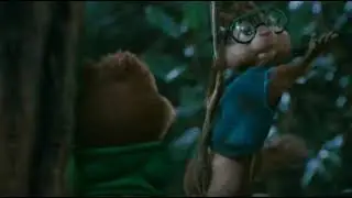 Бурундучок Саймон (короткое видео)(Chipmunk Simon (short video)