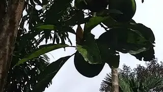 tempat diama banyak penampakan‼️