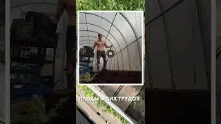 МОЯ ДИЕТА со своего огорода