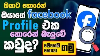 How to see Who viewed my facebook profile 2024