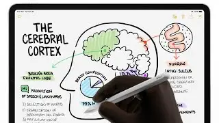 Apple Pencil 2 for the 2018 iPad Pro X