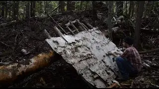 Man Builds Tiny Short Term Survival Shelter With Birch Bark Roof - How to Build it!