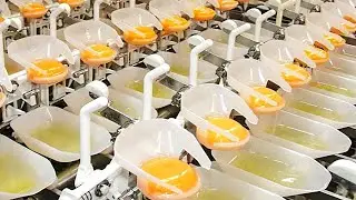Most Satisfying Machines And Workers That Do Their Job Perfectly