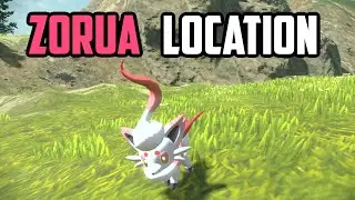 How to Catch Hisuian Zorua - Pokémon Legends: Arceus